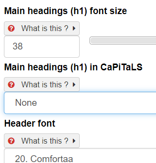 Managing font size
